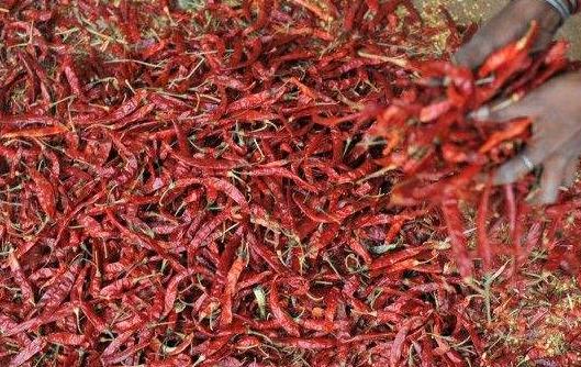 切辣椒再也不辣手小妙招(实用小窍门) 切辣椒再也不辣手小妙招(实用小窍门)