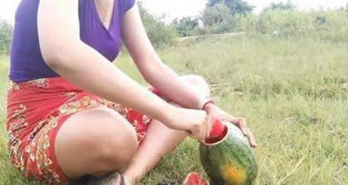 西瓜也分公母:西瓜公母哪个好吃(挑瓜技巧) 西瓜也分公母:西瓜公母哪个好吃(挑瓜技巧)