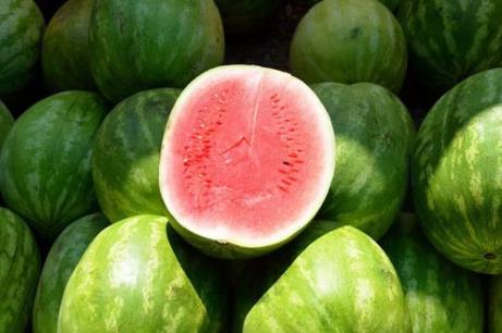 西瓜也分公母:西瓜公母哪个好吃(挑瓜技巧) 西瓜也分公母:西瓜公母哪个好吃(挑瓜技巧)