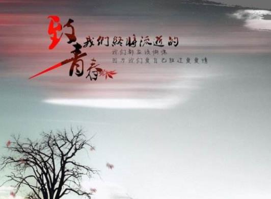 言情小说排行榜50部：经典言情小说书荒友必选