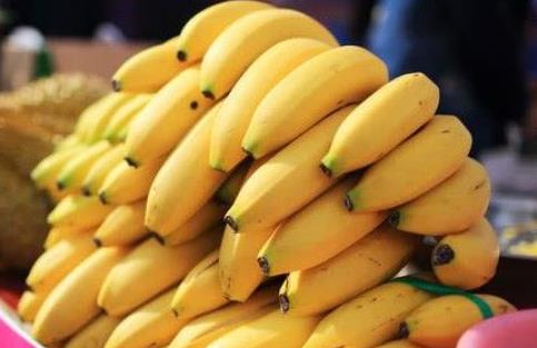 补脑的食物有哪些：越吃越聪明补脑食物盘点