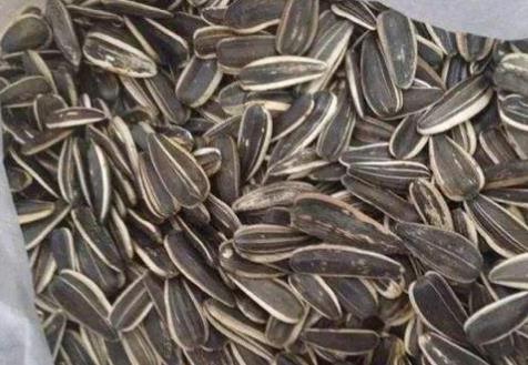 补脑的食物有哪些：越吃越聪明补脑食物盘点