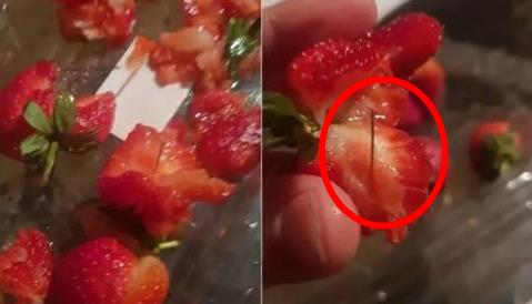 吃梨吃出缝衣针：类似关于水果破坏的案例超100起