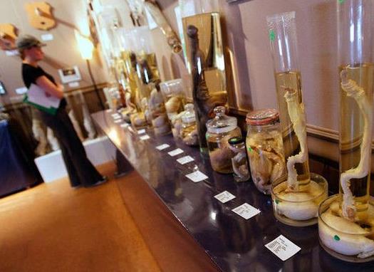 奇葩的十大景点:带你看看全球有意思的地方 奇葩的十大景点:带你看看全球有意思的地方