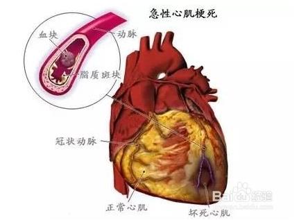 人体器官分布图:人体系统结构图及系统功能解说 人体器官分布图:人体系统结构图及系统功能解说