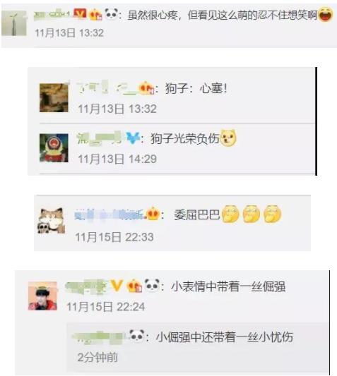 警犬贴创可贴走红:这只警犬怎么了为什么会贴上创可贴 警犬贴创可贴走红:这只警犬怎么了为什么会贴上创可贴