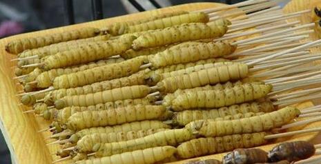 全球最恶心的食物：恶心到你不服不行（图）