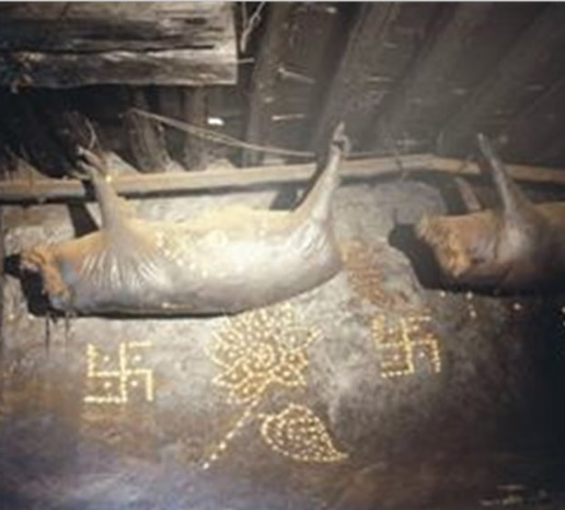 死猪倒挂在房梁上,年代越久越值钱（古代秘方）