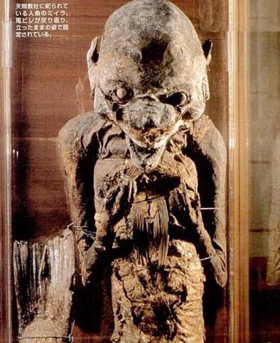 世界上有美人鱼活着吗:美人鱼目击事件原型及文献记载 世界上有美人鱼活着吗:美人鱼目击事件原型及文献记载