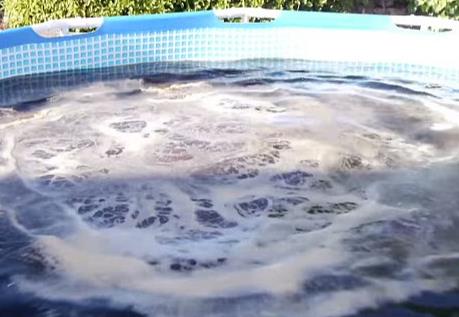 男子将2800瓶可乐倒入水池游泳...（突发奇想结果悲剧）