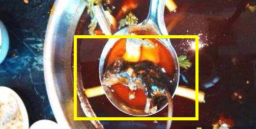 死老鼠放进火锅：真相是自导自演结果是得不偿失