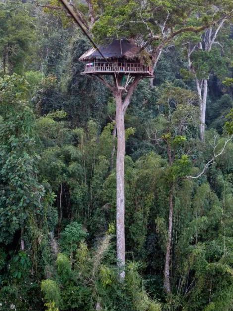 震撼刺激照片：目定口呆（图）