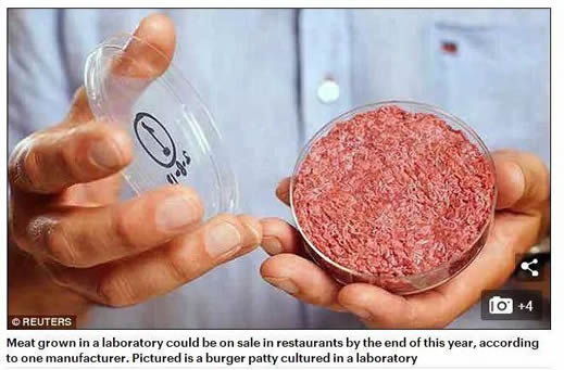 2018人造肉上美国餐桌:网友质疑与真肉区别有哪些营养 2018人造肉上美国餐桌:网友质疑与真肉区别有哪些营养