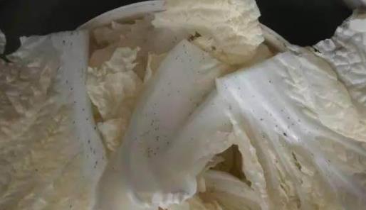白菜上有黑点到底能不能吃?(白菜上黑点几种情况) 白菜上有黑点到底能不能吃?(白菜上黑点几种情况)