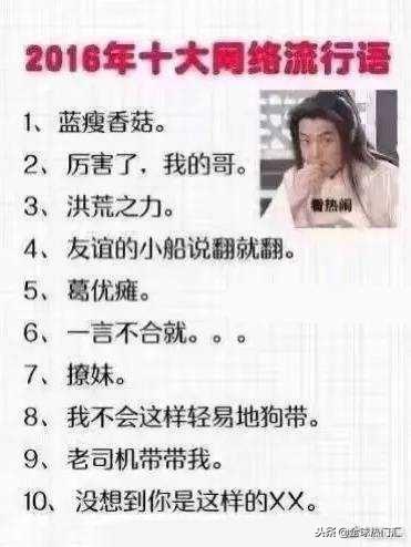 2016年十大网络流行语