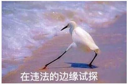 牛津词典公布2018年度热词有毒：2018网络词汇也相继出炉