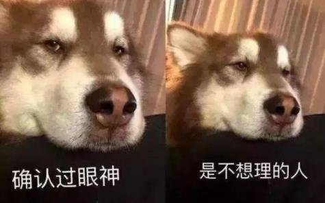 牛津词典公布2018年度热词有毒：2018网络词汇也相继出炉