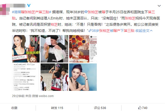 曝张柏芝产第三胎是真是假：张柏芝第三胎爸爸身份解读