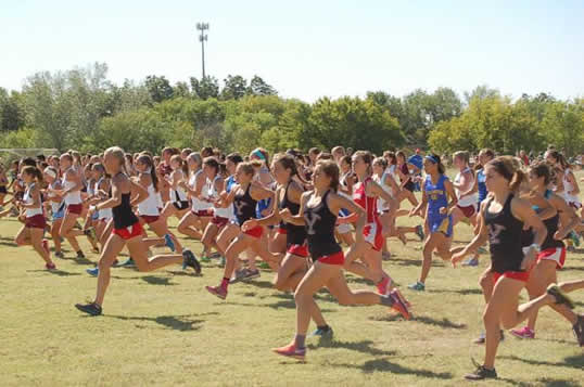 越野跑选手遭猥亵:竹林奔跑被尾随抱住抓胸部(图) 越野跑选手遭猥亵:竹林奔跑被尾随抱住抓胸部(图)
