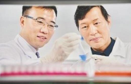 武科大治艾滋:新方法成功治愈1例详情介绍 武科大治艾滋:新方法成功治愈1例详情介绍