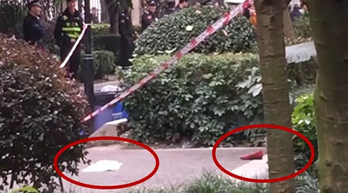 成都坠楼死亡事件:具体什么情况原因真相曝光 成都坠楼死亡事件:具体什么情况原因真相曝光