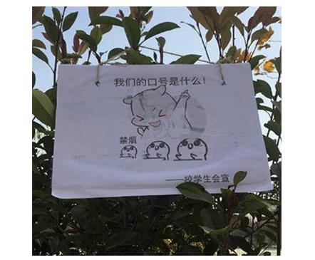 高校禁烟表情包：表情包内容是什么效果怎么样"