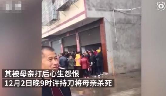 12岁小学生持刀弑母：积累怨恨引发惨剧警醒父母