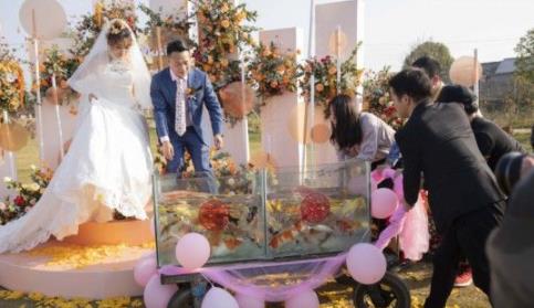 结婚送99条活锦鲤：别人的新娘被人的同事好羡慕