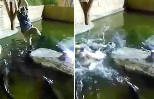 男子鳄鱼池荡秋千是什么情况：真相背后让人后怕（图）