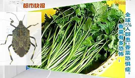 香菜竟让全球15%人群患上恐惧症（什么情况揭晓）