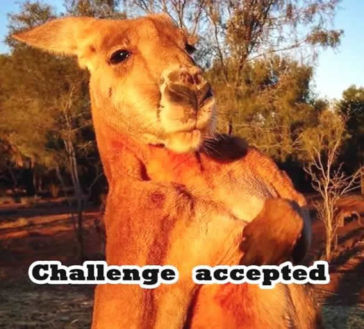 网红肌肉袋鼠去世是什么情况：得了什么病让人惋惜