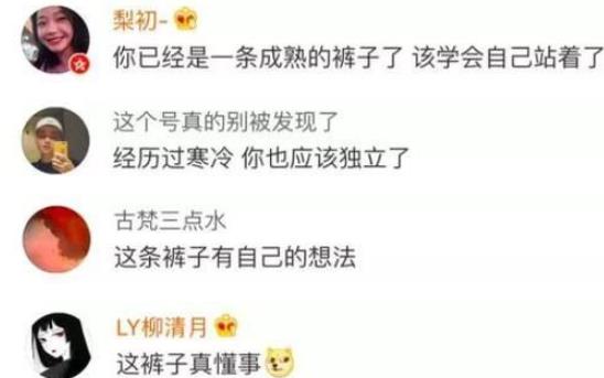 一条裤子火遍全国是什么情况：什么样的裤子怎么火的