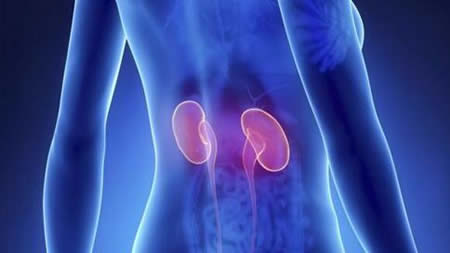 小便出现这4种现象，多半肾虚（这些原因导致肾虚）