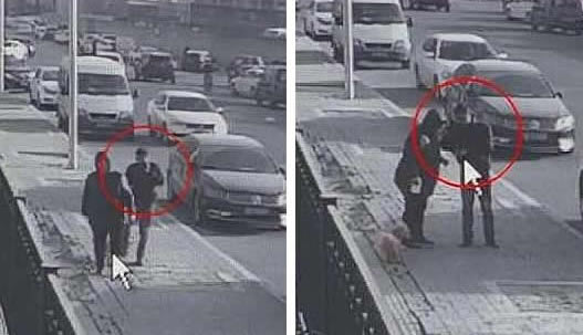 碰瓷遛狗人是什么情况:想要仗着“狗”来发财心真大 碰瓷遛狗人是什么情况:想要仗着“狗”来发财心真大