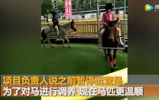 旋转真马又开业画面曝光(图) 旋转真马又开业画面曝光(图)