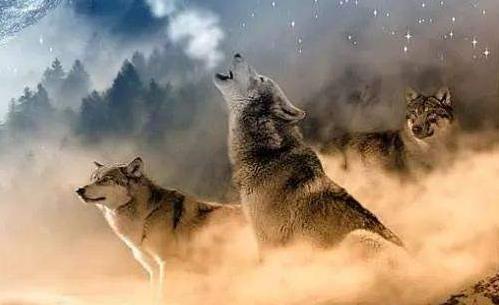 完本现代修真小说排行榜30部：观男主一步一步走向巅峰