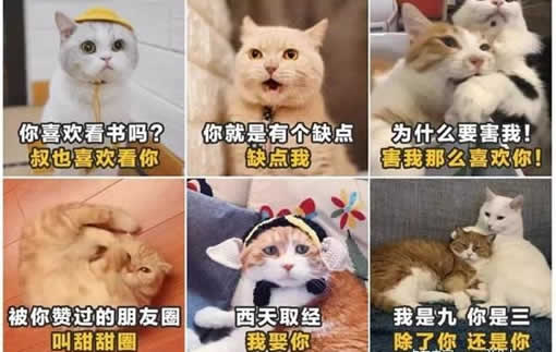 土味情话是什么意思：网友土味情话文案大全合集