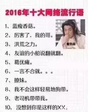 2016十大网络用语