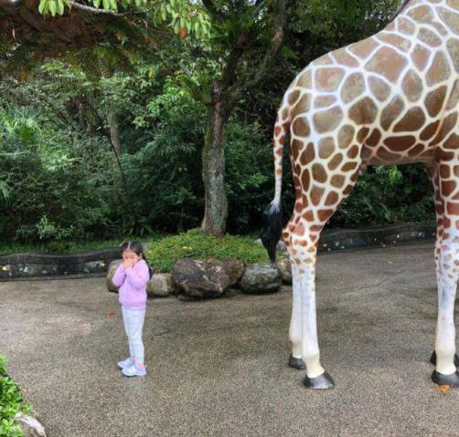 汪小菲晒女儿近照：五官神韵和大S真像姐妹（图）