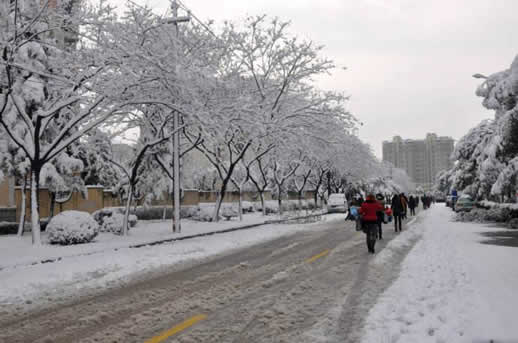 大雪封山救我狗命是什么情况:女学生知恩图报还很幽默 大雪封山救我狗命是什么情况:女学生知恩图报还很幽默