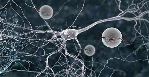 2029年人类开始实现永生是什么情况：真相是这样