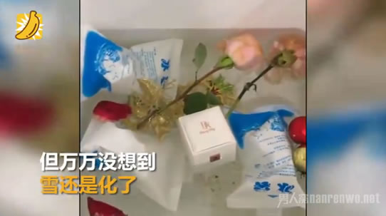 程序员寄雪求婚细节过程：程序员虽木讷但也懂浪漫