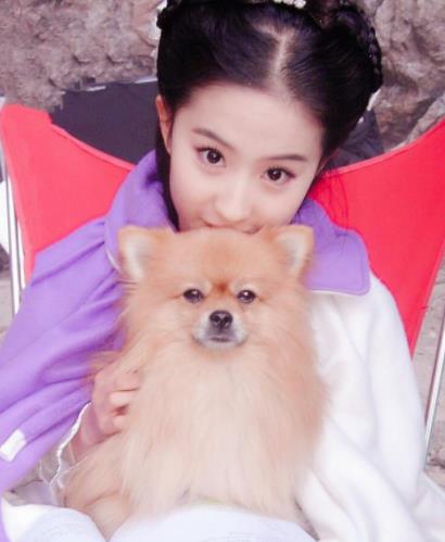 网友偶遇刘亦菲素颜照曝光：休闲打扮侧颜完美（图）