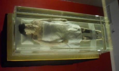 马王堆汉墓女尸图片:千年女尸复原图片这个样子 马王堆汉墓女尸图片:千年女尸复原图片这个样子