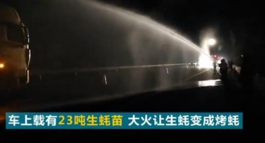 20余吨生蚝变烤蚝真相怎么回事:具体详情发生了什么事 20余吨生蚝变烤蚝真相怎么回事:具体详情发生了什么事