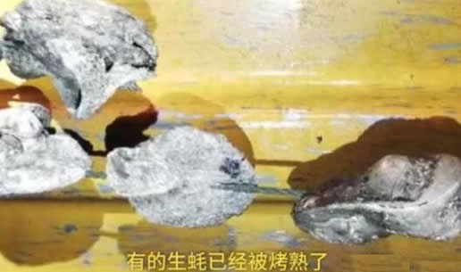20余吨生蚝变烤蚝真相怎么回事:具体详情发生了什么事 20余吨生蚝变烤蚝真相怎么回事:具体详情发生了什么事