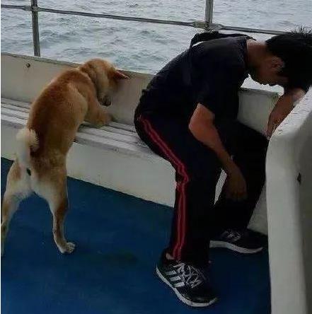 2018最喜感照片让你轻松一笑（2018年末福利）