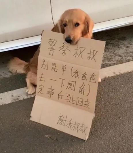 2018最喜感照片让你轻松一笑（2018年末福利）