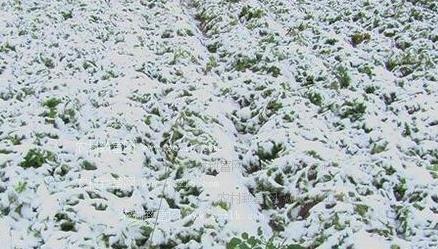 河南十大气候事件是什么情况:2018罕见气候极端事件回顾 河南十大气候事件是什么情况:2018罕见气候极端事件回顾