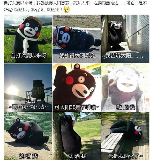 雨露均沾意思：网络用语雨露均沾这个梗笑坏了网友